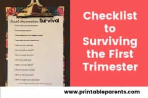 Survive the First Trimester | Free Printable Checklist