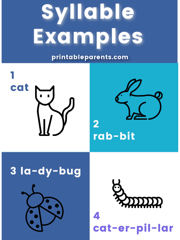 syllable examples chart for one, two, three, and four syllable words with pictures of cat, rabbit, ladybug, and caterpillar