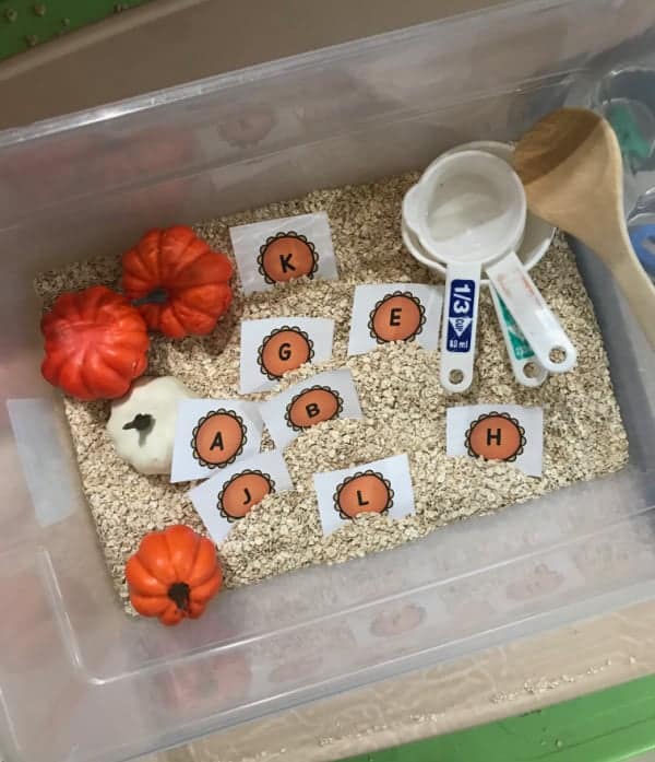 Pumpkin pie sensory bin with oatmeal, toy pumpkins, measuring cups, and wooden spoons. Printable pumpkin pie letters are buried in the oatmeal.