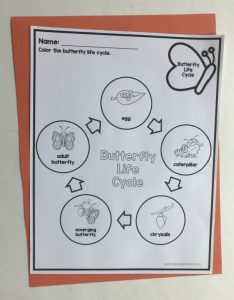Butterfly Life Cycle Worksheets - Printable Parents
