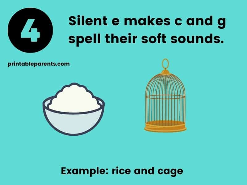 Silent e makes c and g spell their soft sounds. Blue background with black text and clip art images of white rice and a brown cage.