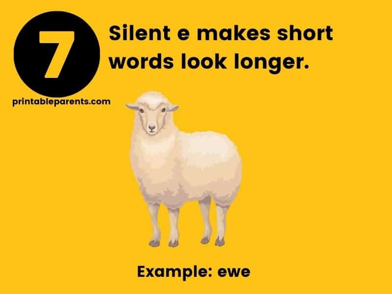 Silent e makes short words look longer. Yellow background with black text and a cllp image of a sheep with text example: ewe.